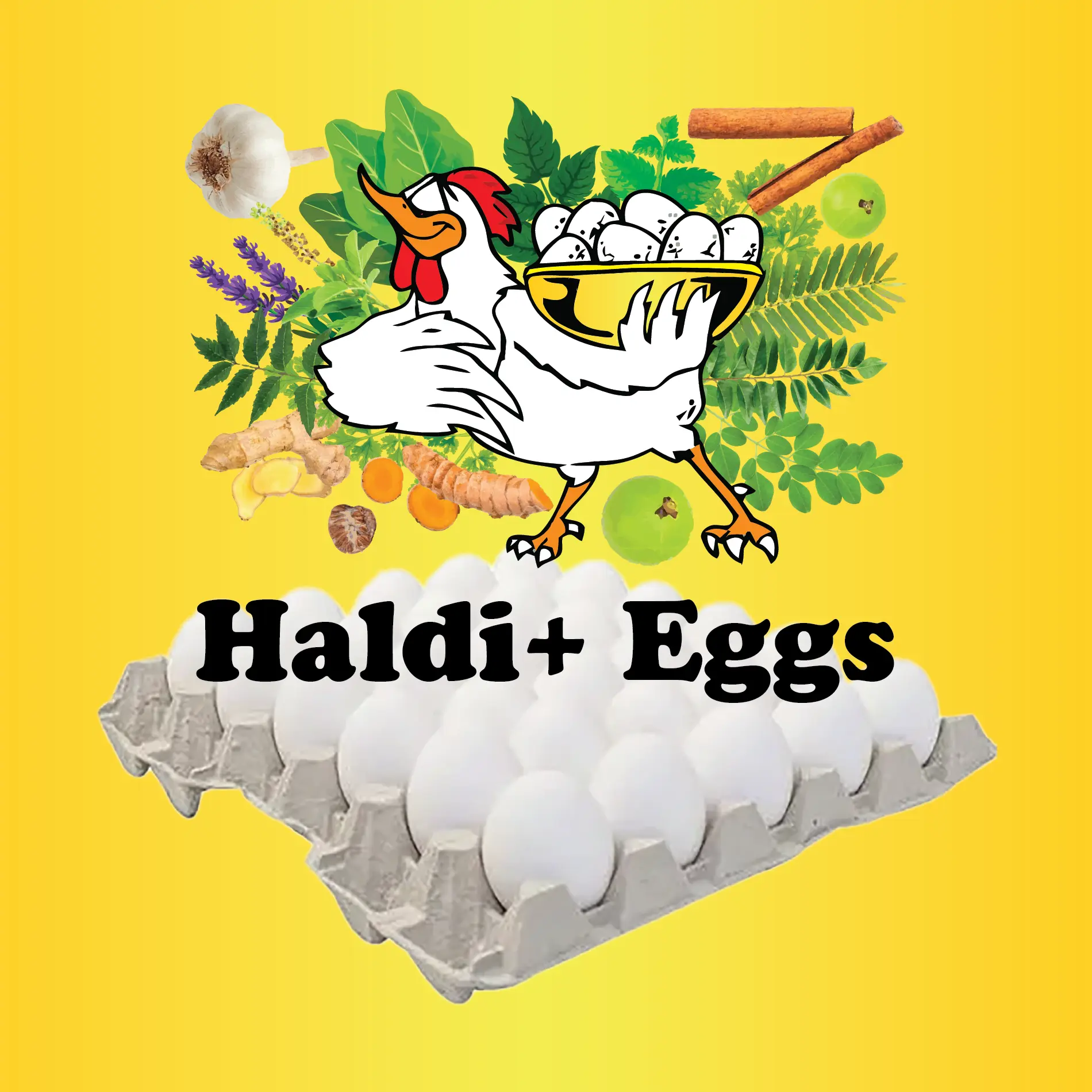Haldi+ Egg 30 pack